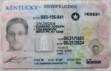 Premium Kentucky Fake IDs with Holograms & UV Security