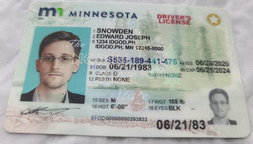 Premium Minnesota Fake IDs with Holograms & UV Security