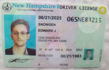 Premium New Hampshire Fake IDs with Holograms & UV Security