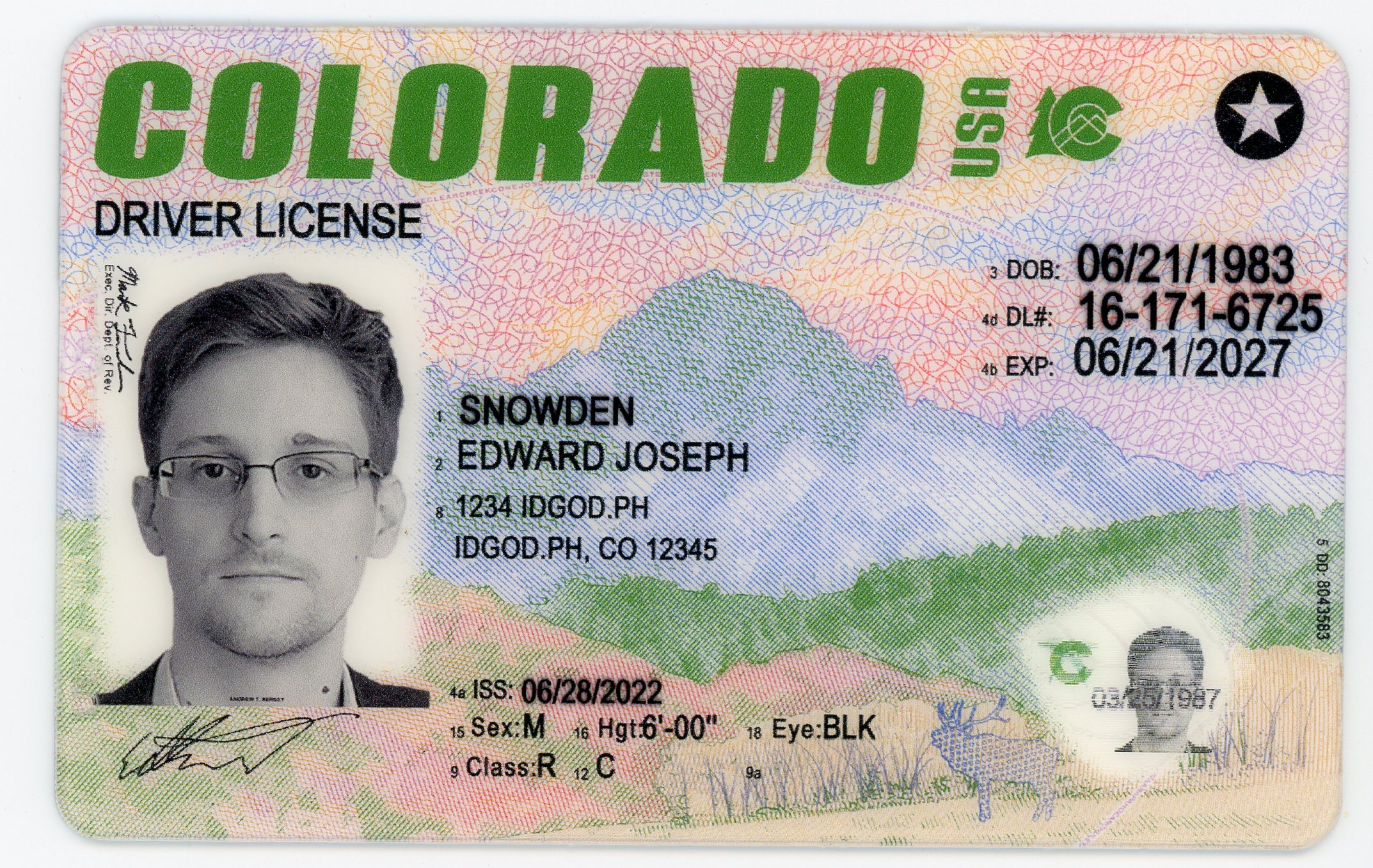 Premium Colorado Fake IDs with Holograms & UV Security